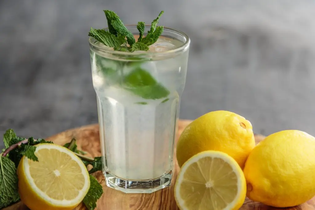 Stylish Cocktail Ideas Tom Collins