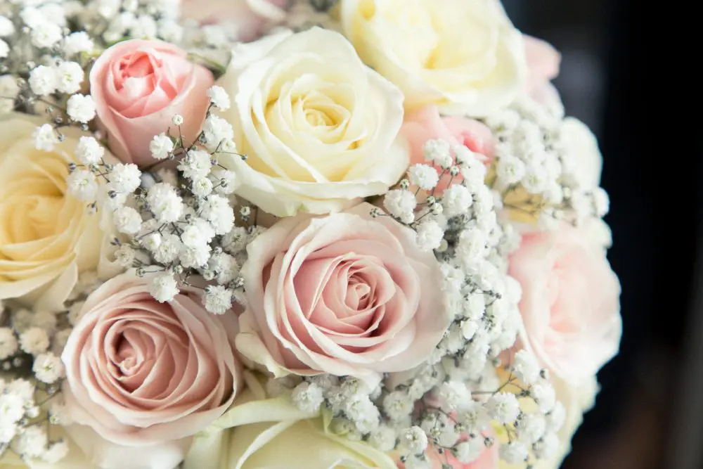 A stunning bouquet of pink and white roses with delicate baby's breath, perfect for adding a touch of romance to your wedding day.