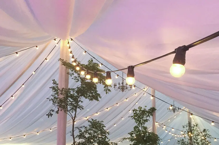 Wedding Guide - Popularity of Christmas proposals means couples need to start wedding planning now!