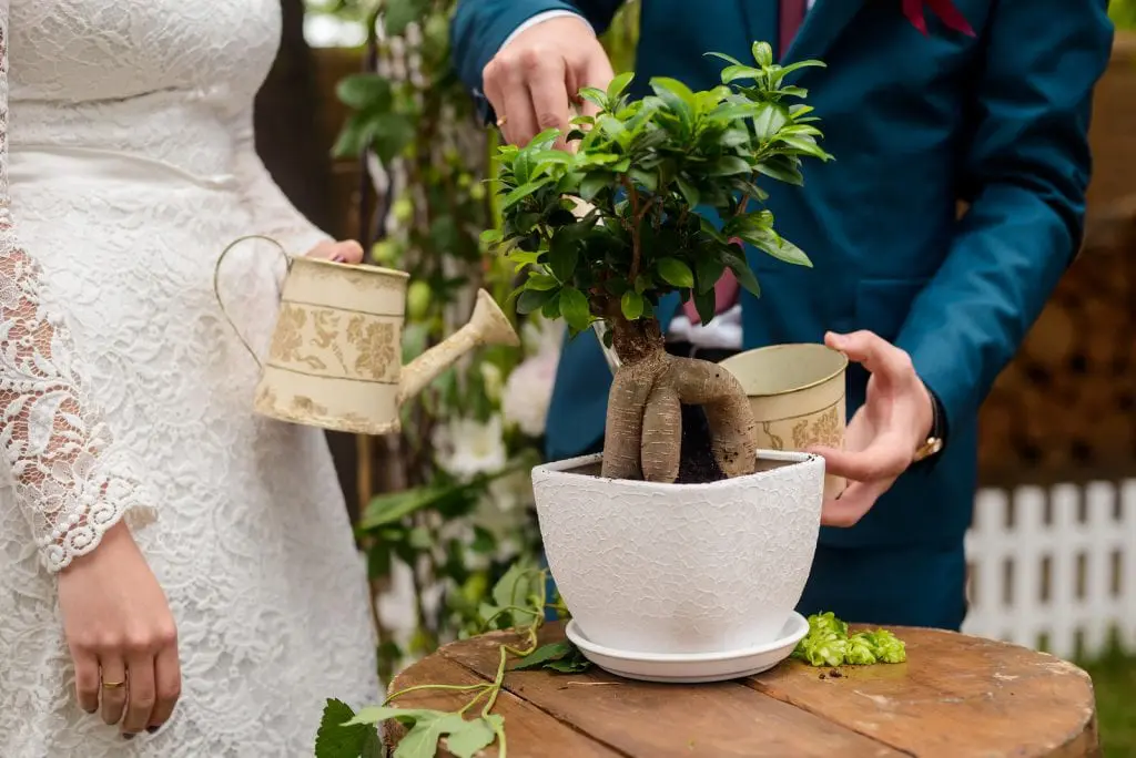 Symbolise Love in Your Wedding Ceremony tree planting