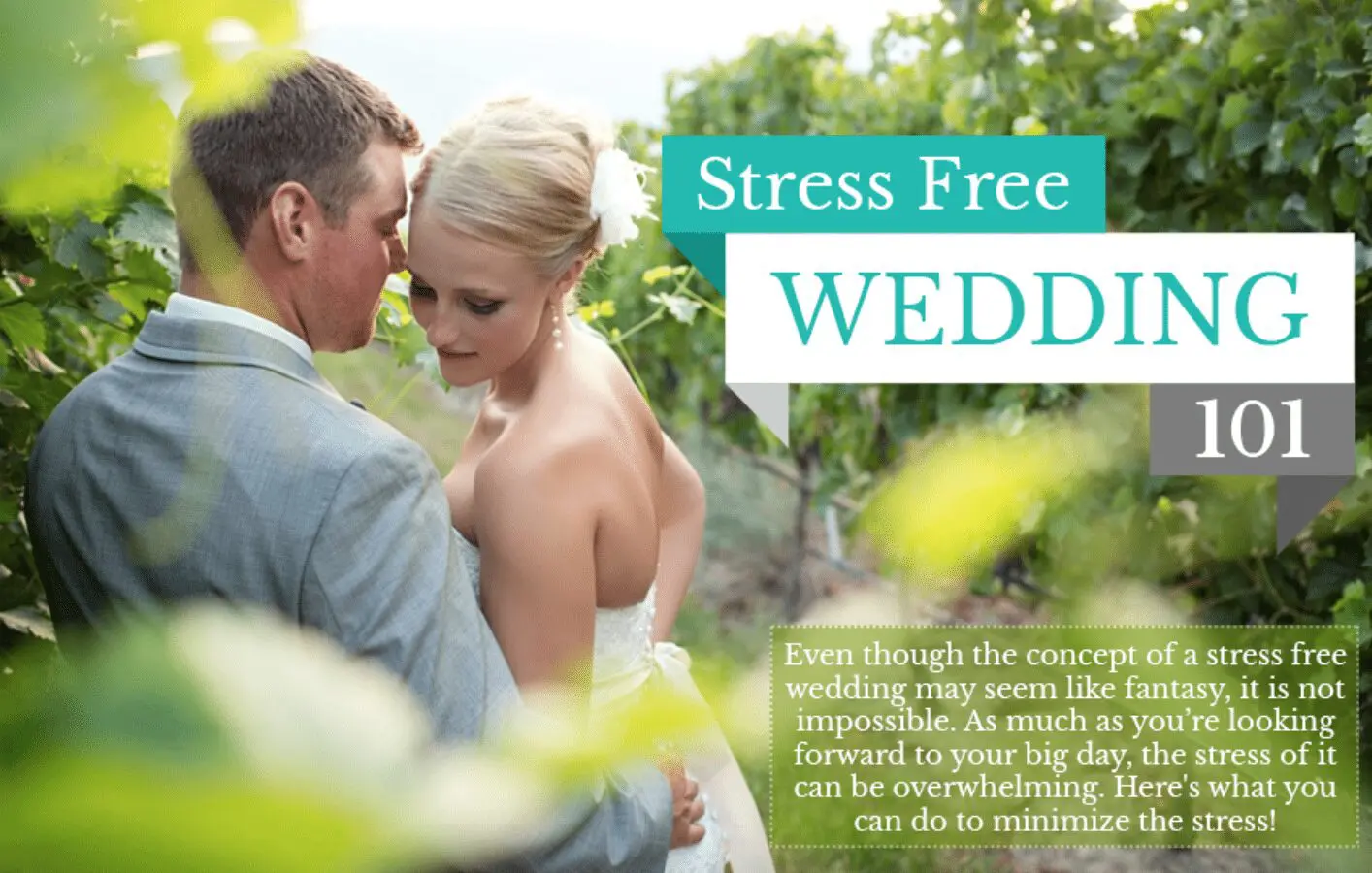 Planning your stress-free wedding with expert guidance from a reputable wedding business in the UK.
