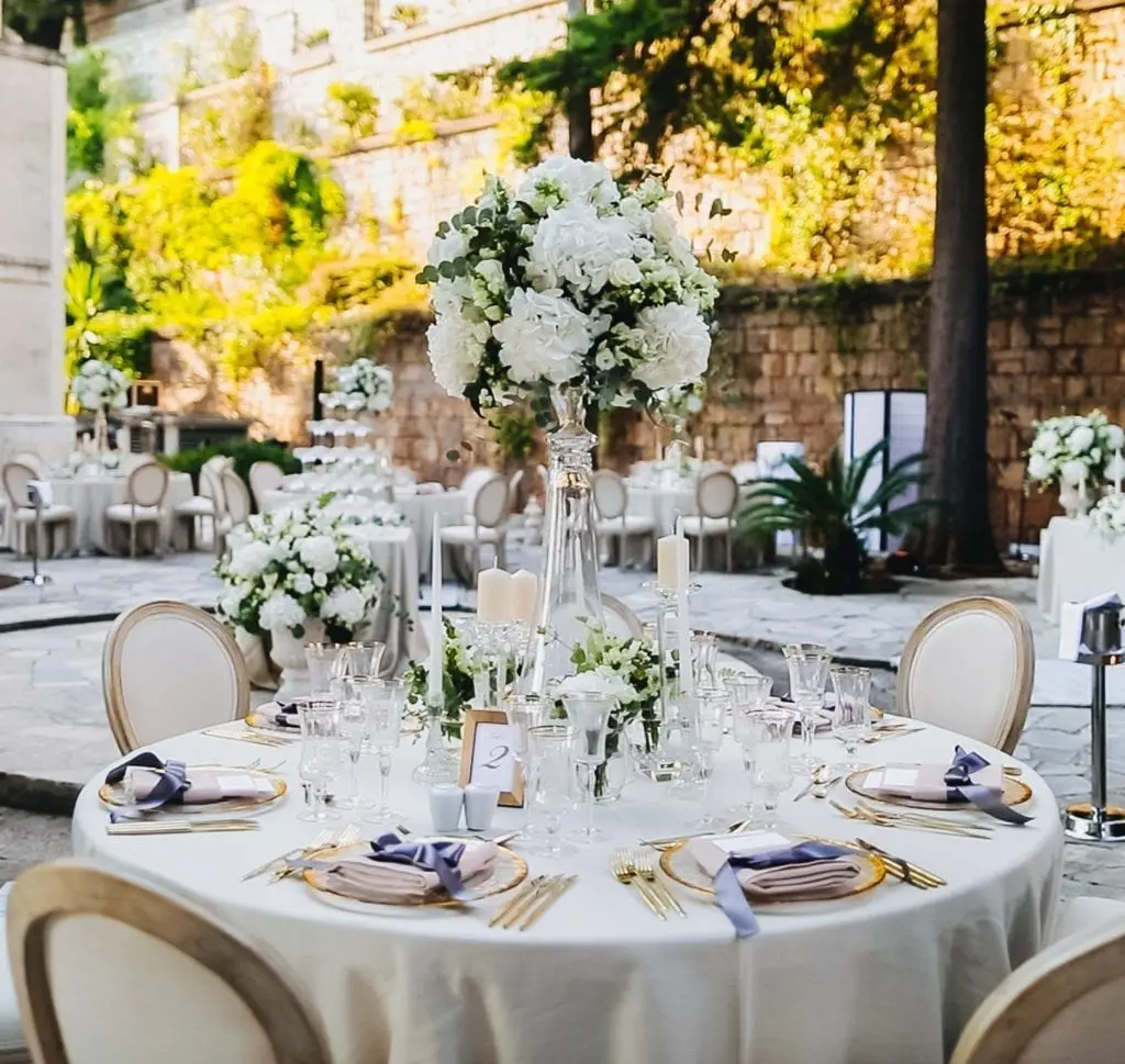Wedding Video - reception
