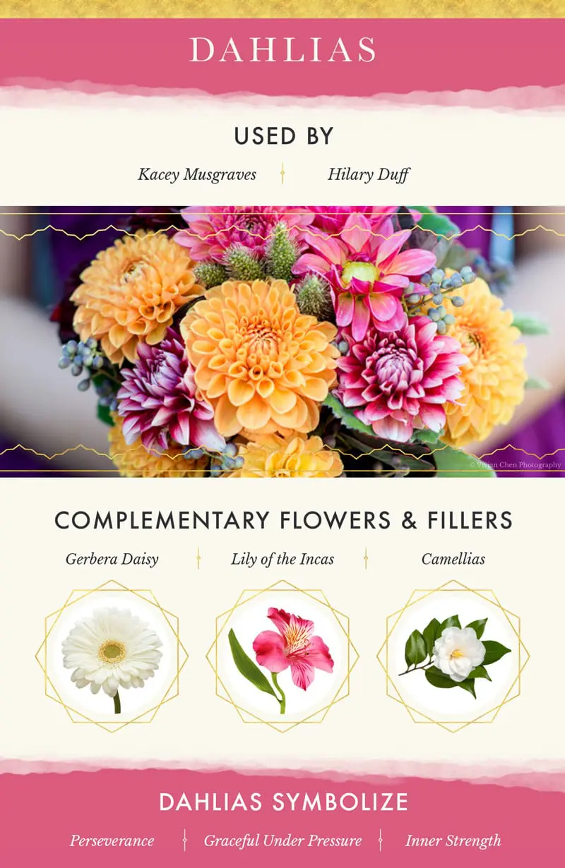 Dahlias