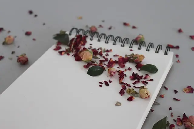 Wedding notebook with red and green confetti.