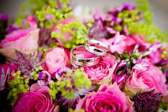 Wedding Guide - Extract from Captain Corelli's Mandolin