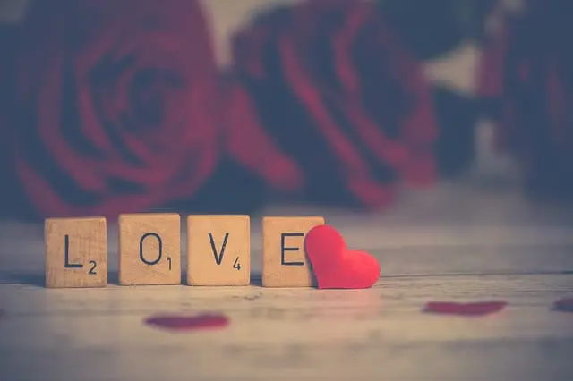 Wedding Guide - 3 Reasons You Should Get Married On Valentine's Day