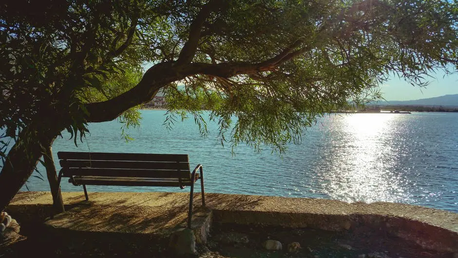 A bench sitting next to a body of water, perfect for wedding planning.