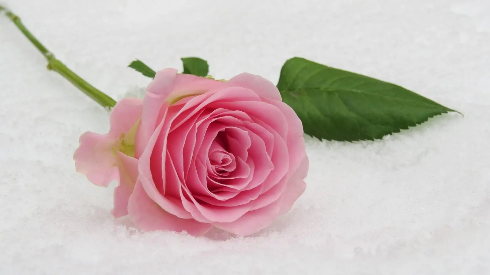 Wedding Guide - 4 Ways to Stay Healthy for Your Winter Wedding