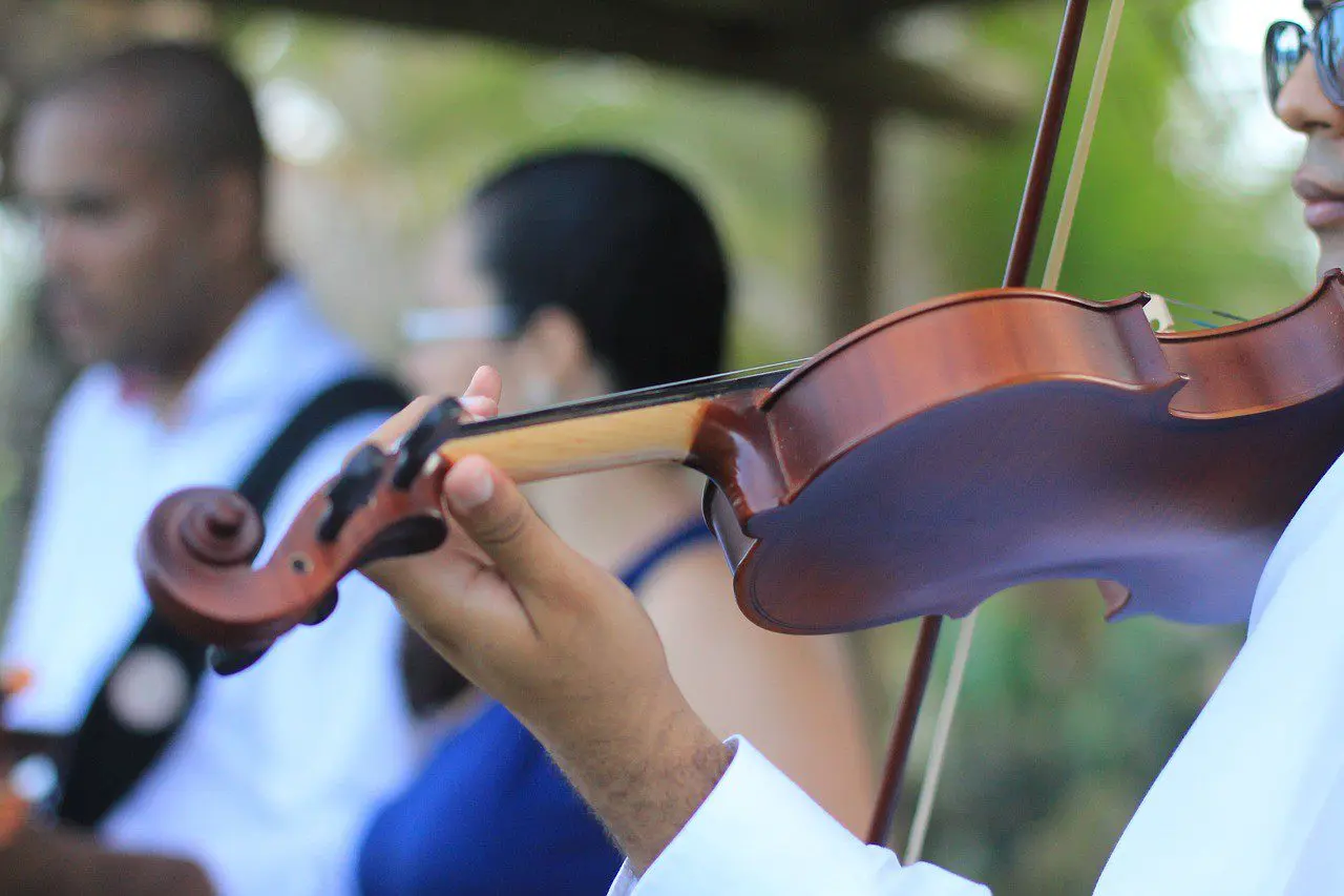 Violinist playing at wedding