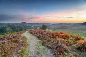 A dirt path runs through a hilly landscape covered with colorful shrubs under a sunset sky, ideal for couples planning their wedding UK, with trees and fields in the distance.