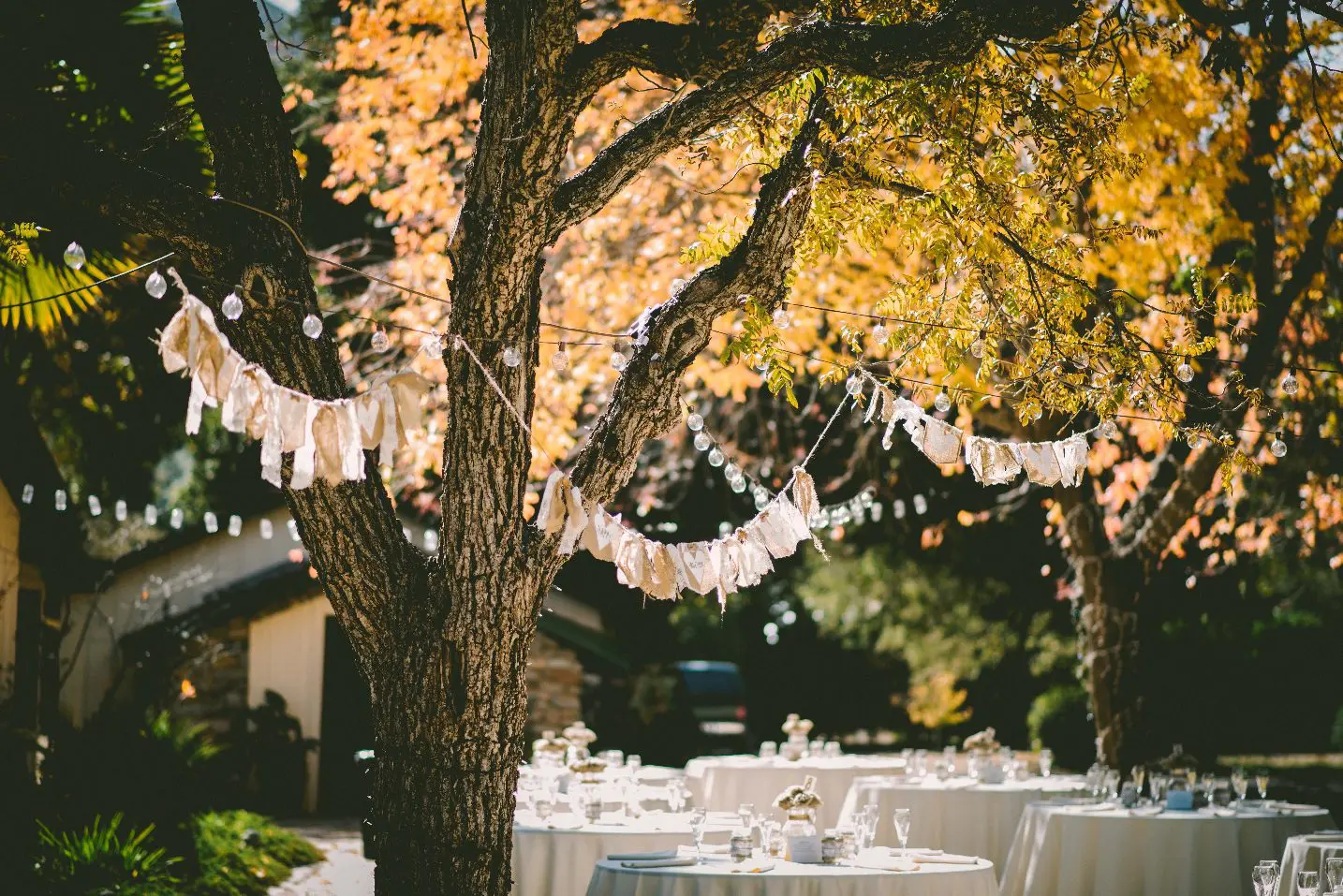 Outdoor event setup with tables and chairs under a tree. Fabric garlands and string lights decorate the tree. Sunlight filters through yellow autumn leaves.