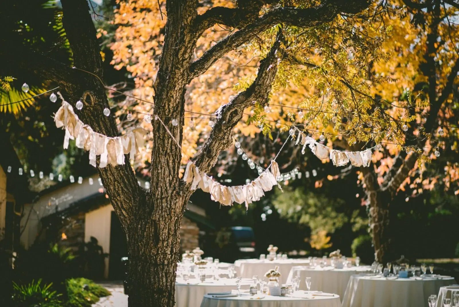 Weddings outside