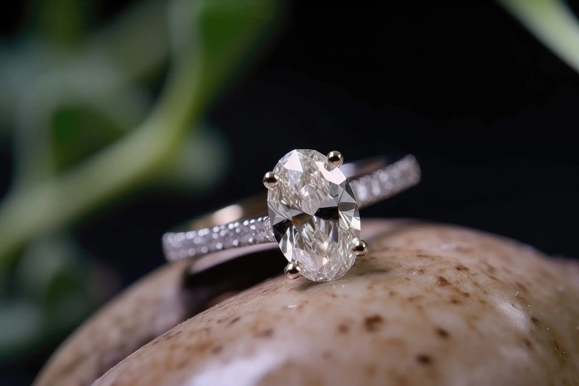 A white gold band with a sparkling oval diamond reflecting the sunlight.