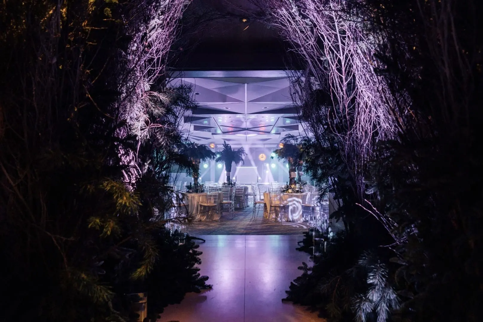 Entrance to an atmospherically lit event space with purple lighting. Tables and chairs are visible inside, surrounded by decorative foliage.
