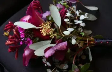 Twisted Lilac