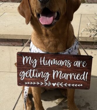 Quirky Extras – Dog Chaperones, First Dance, Keepsakes, Props & Confetti